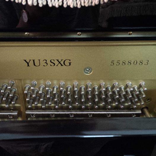 YAMAHA YU3SXG 
